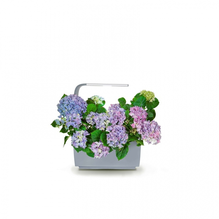 Tregren Kitchen Garden T6 Grå Tregren Kitchen Garden T6 Grå