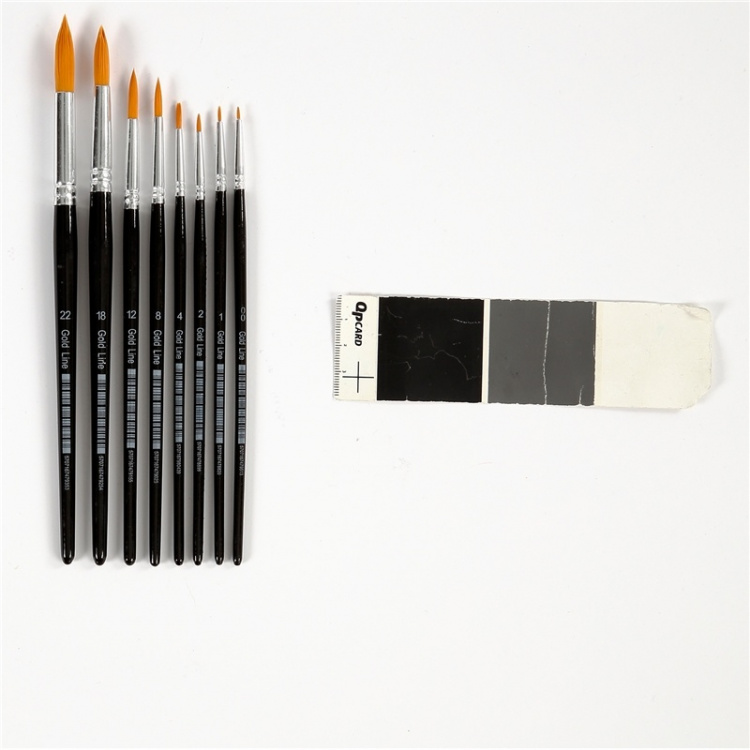 Colortime Gold Line Pensler runde