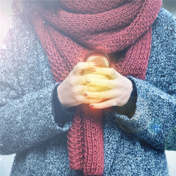 LogiLink PowerBank med håndvarmer 4000 mAh Svart