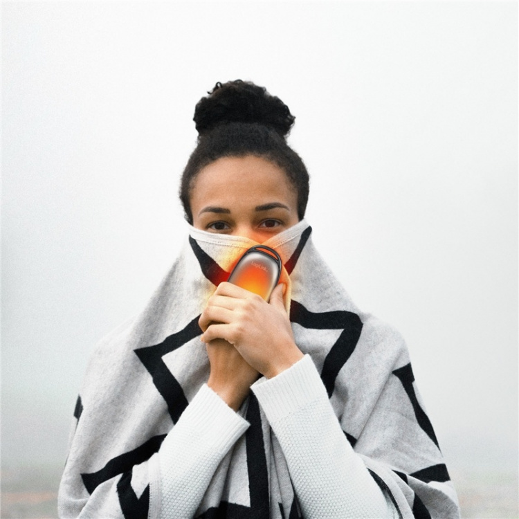 LogiLink PowerBank med håndvarmer 4000 mAh Svart