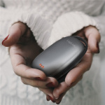 LogiLink PowerBank med håndvarmer 4000 mAh Svart