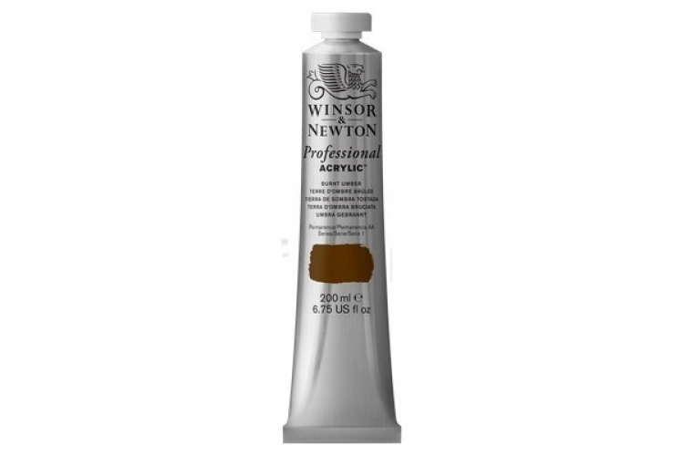 Prof Acrylic 200ML BURNT UMBER 076
