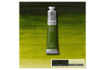 Winton Oil Col 200 ml (37) Sap Green 599