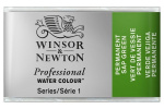 Prof Water Colour Pan/W Perm Sap Green 503 Prof Water Colour Pan/W Perm Sap Green 503