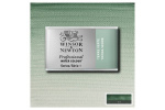 Prof Water Colour Pan/W Terre Verte 637 Prof Water Colour Pan/W Terre Verte 637