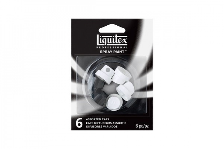 Liquitex Dyser 6 ass. (2xstan, 2xpink Fat, 2xsuper skinny)