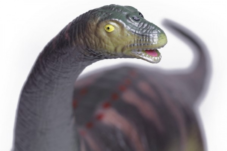 Brachiosaurus - Lekedinosaur Brachiosaurus - Lekedinosaur