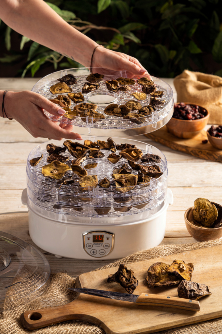 Camry CR 6659 Svamp- og teppetørker