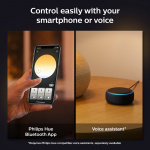 Philips Hue Enrave taklampe XL 55,1 cm hvit Ambiance White