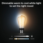 Philips Hue White Ambiance Filament E27 ST64 Edison