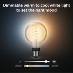Philips Hue White Ambiance Filament E27 G93 Globe Philips Hue White Ambiance Filament E27 G93 Globe