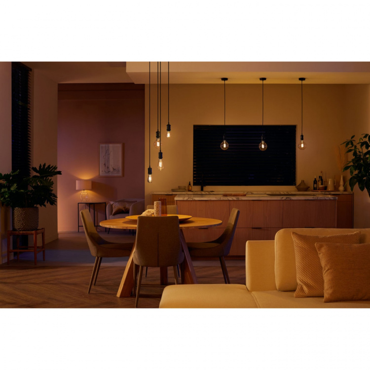 Philips Hue Hvit Ambiance Filament E27 G125 Globe