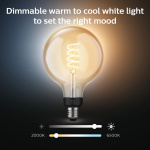 Philips Hue Hvit Ambiance Filament E27 G125 Globe