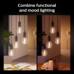 Philips Hue Hvit Ambiance Filament E27 G125 Globe
