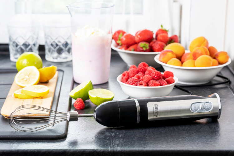 Camry CR 4621 Stavmikser