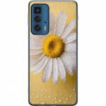 Mobildeksel til Motorola Edge 20 Pro med Porselensblomst motiv