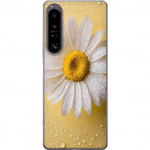 Mobildeksel til Sony Xperia 1 IV med Porselensblomst motiv