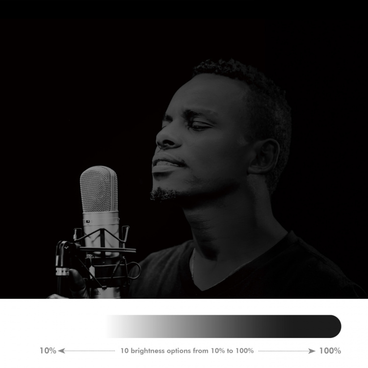 LogiLink Ringlys Hjerteformet RGB-ringlys med bordstativ LogiLink Ringlys Hjerteformet RGB-ringlys med bordstativ