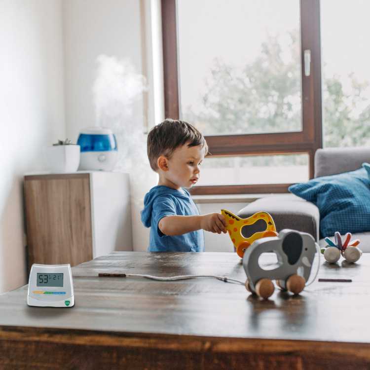 Vicks 2-i-1 hygrometer og termometer V70