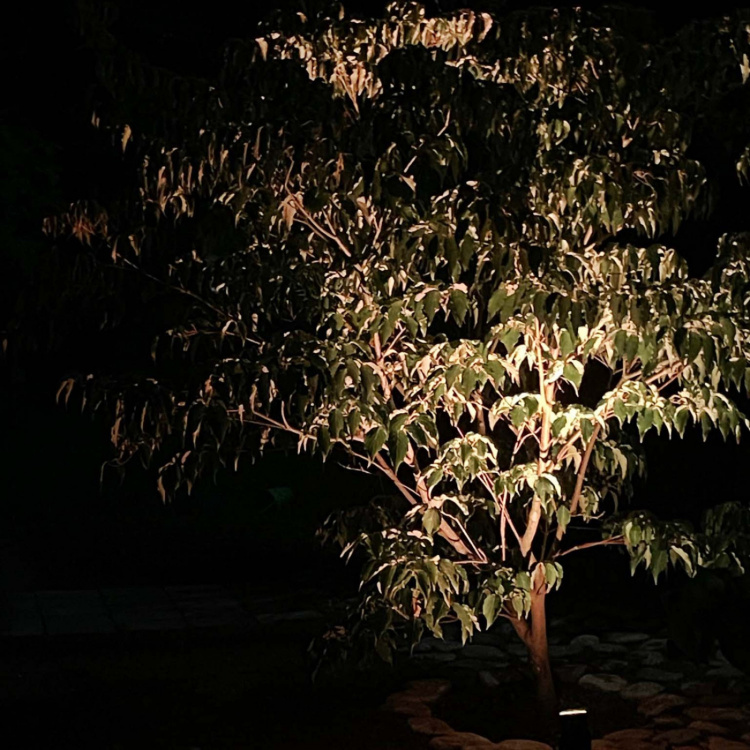 LightsOn Nova hagespotlight Varmt til kjølig lys Sv LightsOn Nova hagespotlight Varmt til kjølig lys Sv