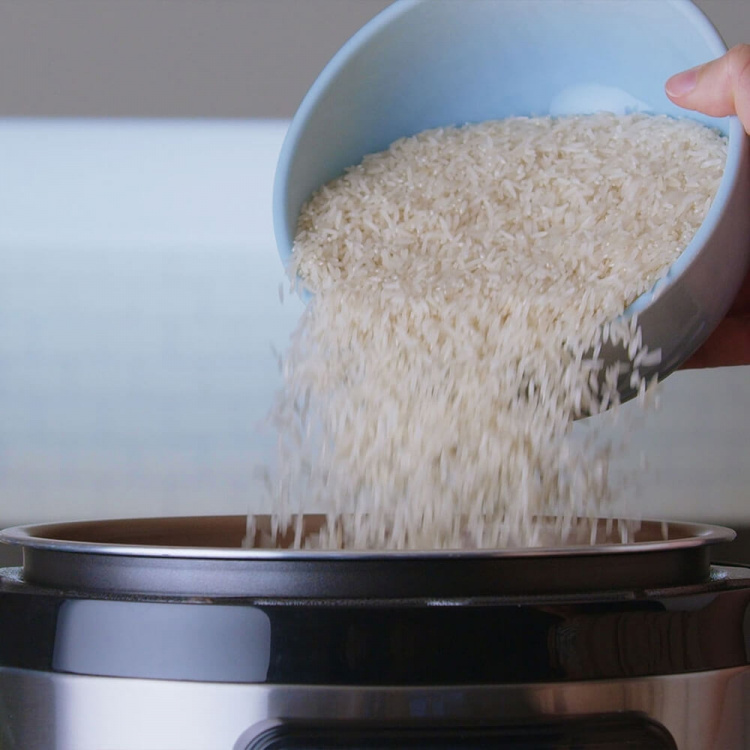 Taurus Elektrisk Trykkoker 1000W