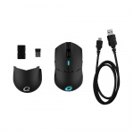 QPAD Gamingmus DX900 QPAD Gamingmus DX900