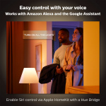 Philips Hue Ensis pendellampe hvit/fargesvart