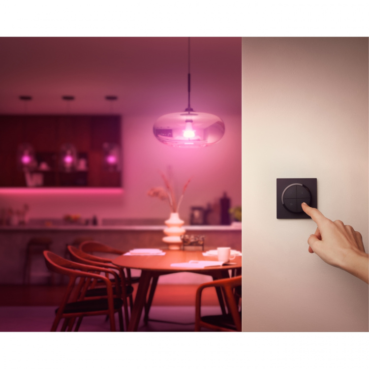 Philips Hue Tap Dial-bryter svart