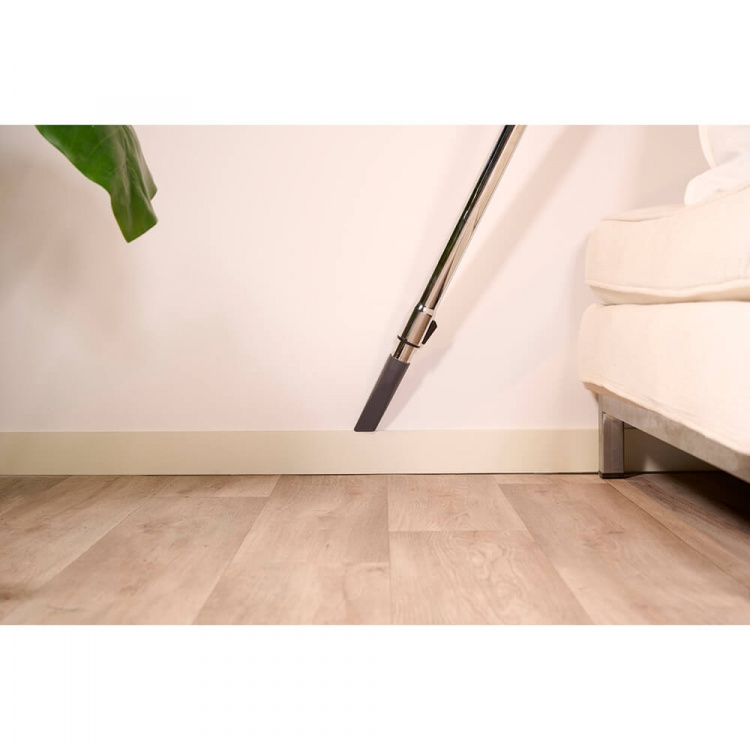 SOLAC Poseløs Støvsuger More Brave 800W SOLAC Poseløs Støvsuger More Brave 800W