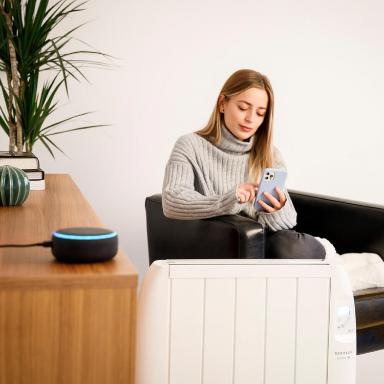 Taurus El-Radiator WIFI Malbork Connect 2000