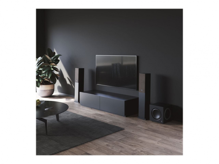 Audio Pro SW10 Svart