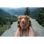 TICKLESS Flåttbeskyttelse Aktiv Grønn