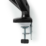 Nedis Desk Monitor Mount | Gassfjær | 2 Skjermer | 15 - 32 