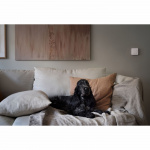 Nexa MWST-1812 Veggsender 2-kanals Nexa MWST-1812 Veggsender 2-kanals