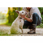 TICKLESS Flåttbeskyttelse ECOPET