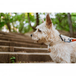 TICKLESS Flåttbeskyttelse ECOPET