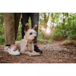 TICKLESS Flåttbeskyttelse ECOPET