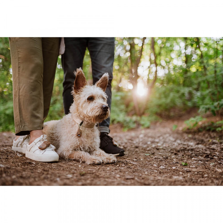 TICKLESS Flåttbeskyttelse ECOPET