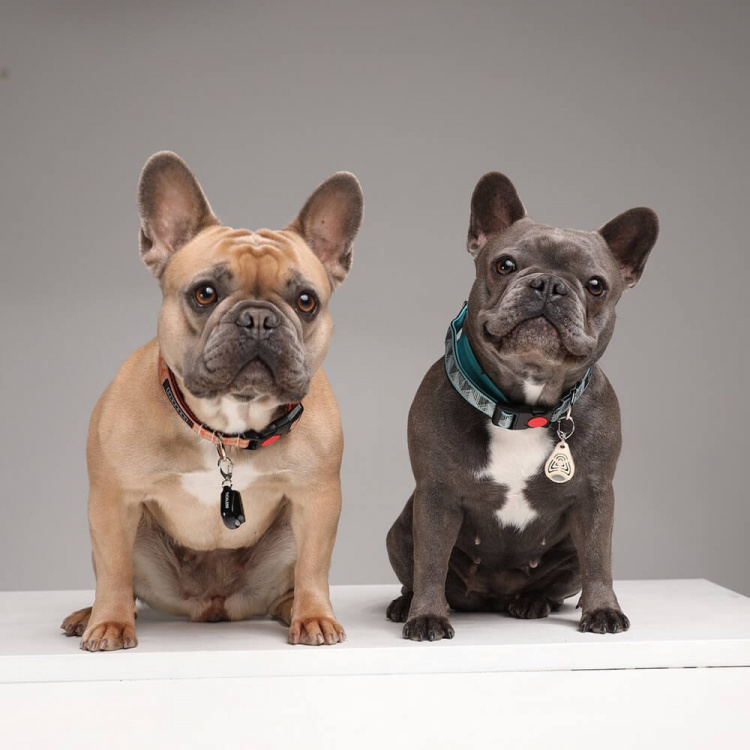 TICKLESS Flåttbeskyttelse Pet Beige