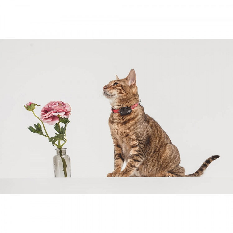 TICKLESS Flåttbeskyttelse Mini Katt Svart