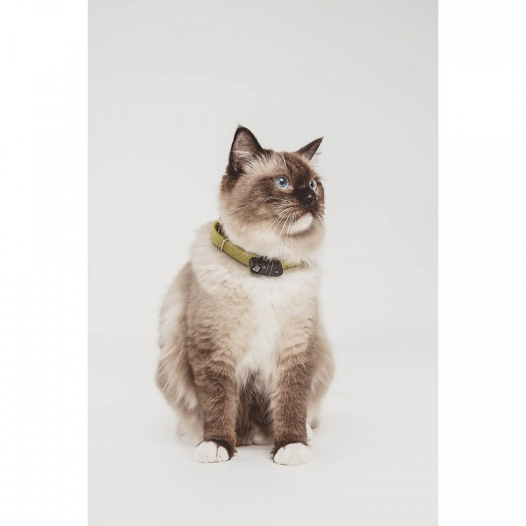 TICKLESS Flåttbeskyttelse Mini Katt Svart