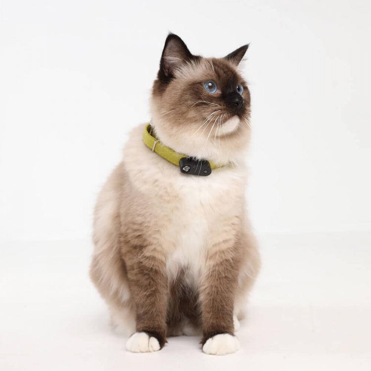 TICKLESS Flåttbeskyttelse Mini Katt Svart