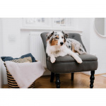 TICKLESS Mite Repellent Home Grå