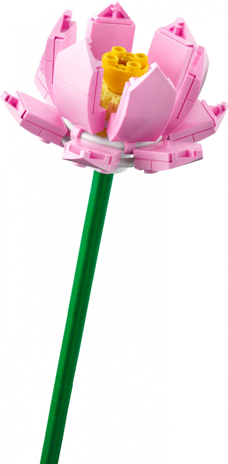 Lego Botanisk 40647 - Lotusblomster