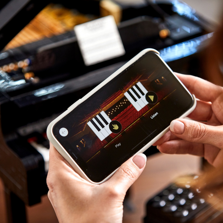 Lego Ideas 21323 - Flygel