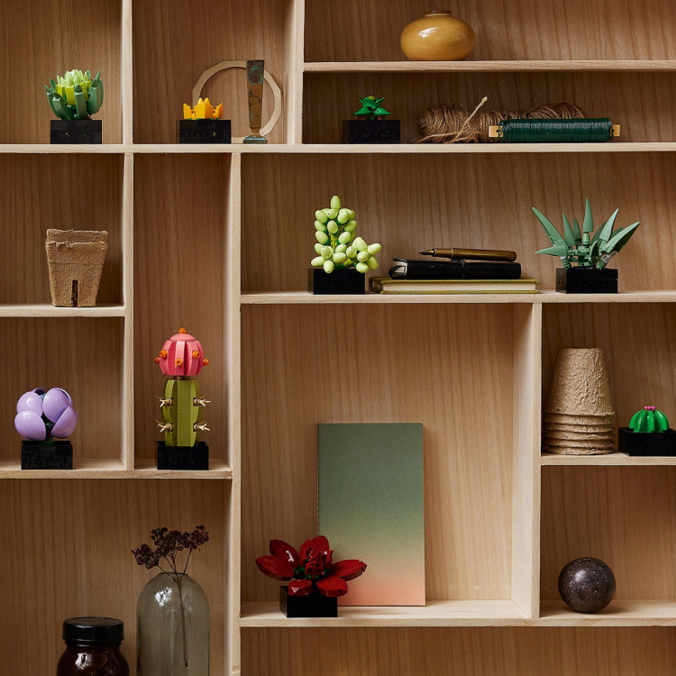 Lego Botanisk 10309 - Sukkulenter Lego Botanisk 10309 - Sukkulenter