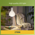 Philips LED E27 Normal 4W (60W) Frosted 840lm 2700K Energiklasse A Philips LED E27 Normal 4W (60W) Frosted 840lm 2700K Energiklasse A