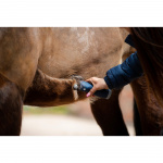 Lister Eclipse hesteklipper