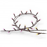 Philips Hue Festavia innendørs/utendørs lyskæde 500 LED 40 m