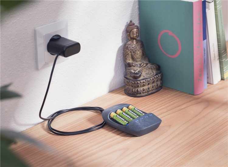 Varta LR20/D (Mono) (4020) batteri, 20 stk. i eske alkalisk manganbatteri, 1,5 V